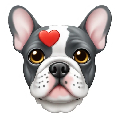 French bulldog dark grey with a heart sticker