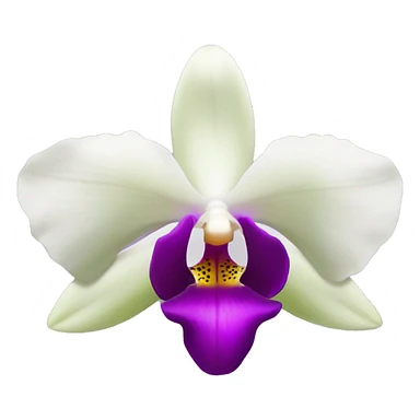 Orchidée sticker