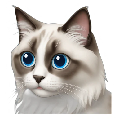 ragdoll cat with blue eyes sticker
