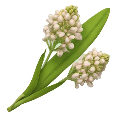 milkweed sticker