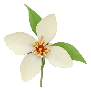 ashwagandha flower sticker