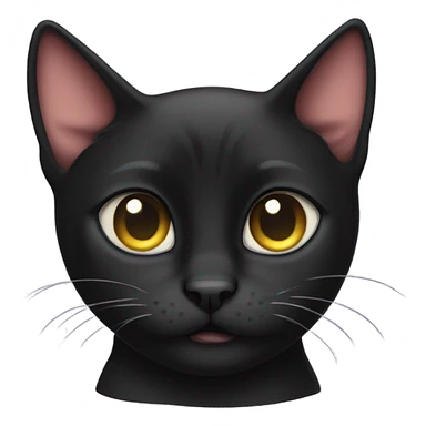 Crying Bombay cat sticker