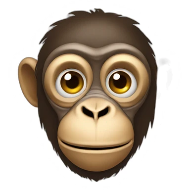 monkey with camera sticker