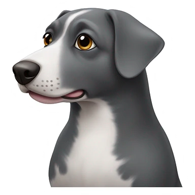 Dog pigeon  sticker