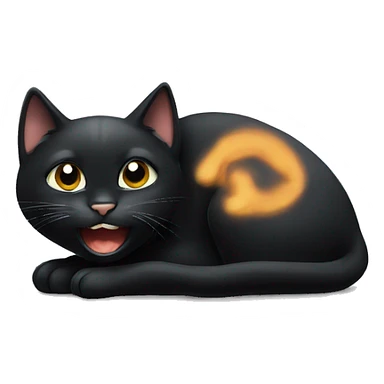 black cat begging  sticker
