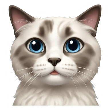 ragdoll shorthair cat sticker