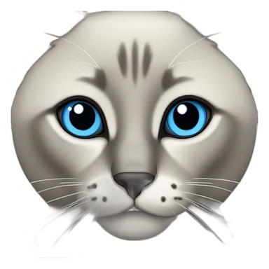 grey siamese cat with blue eyes sticker