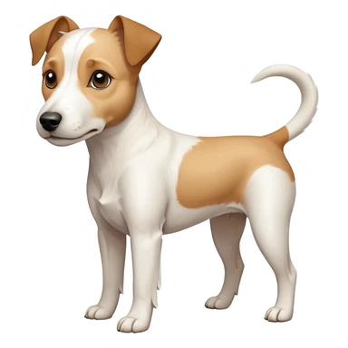 a full body facing front on of a buff white parson russell terrier looking dog the size of a kelpie with light brown long ears resting on its face and a light brown patch above one eye and a large snout. the rest of the dog is completely white.  sticker