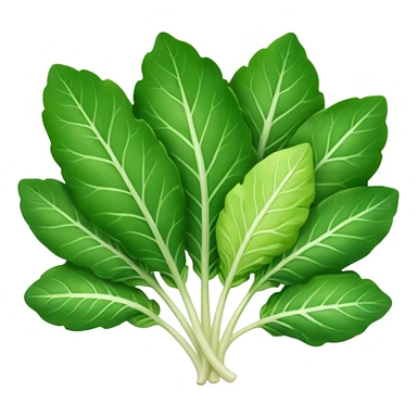 different salad leaves without bowl sticker