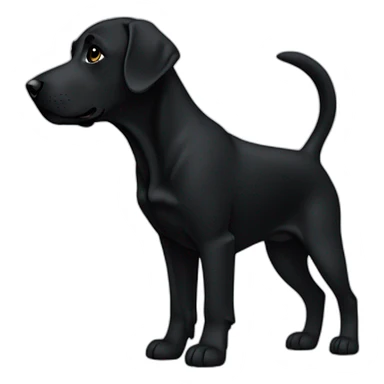black lab no tail profile view sticker