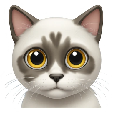Cat with big eyes  sticker