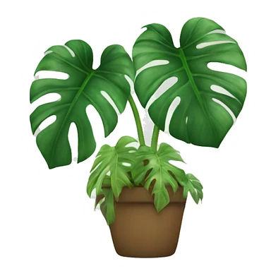 Monstera Albo sticker
