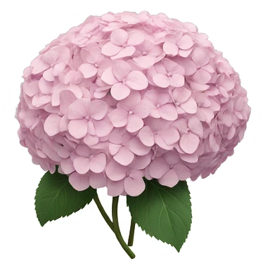 Hydrangeas pastel pink bouquet sticker