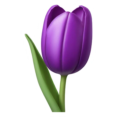 Purple tulip sticker