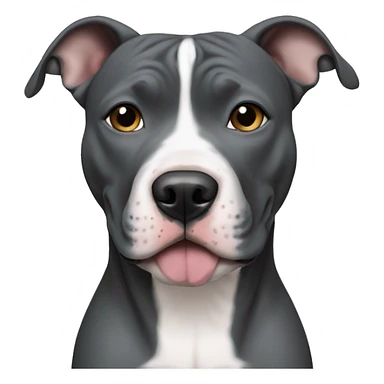 blue nosed pitbull sticker