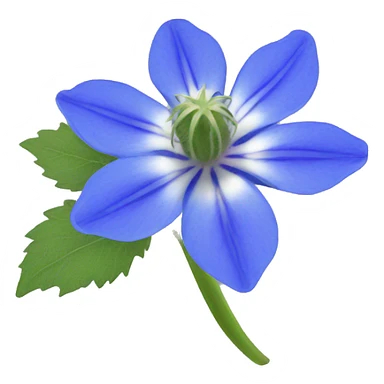 borage flower sticker