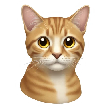 Кот катающиеся на роликах  sticker