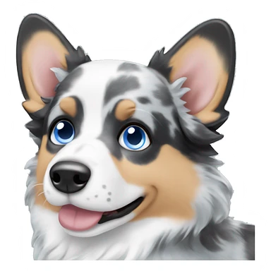 Blue Merle corgi with a blue eye sticker