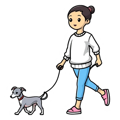 Asian girl walking an all grey Italian greyhound sticker