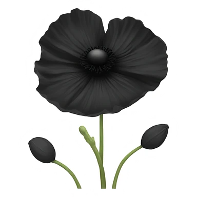 Black poppy sticker
