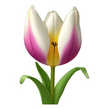 une tulipe sticker