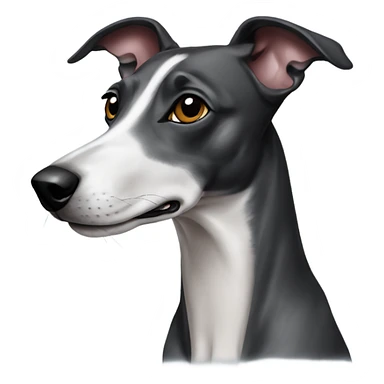 Black whippet sticker
