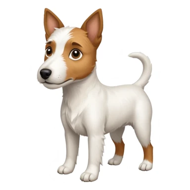 a full body large white parson russell looking dog the size of a kelpie with light brown ears and a light brown patch on one eye and a large snout sticker