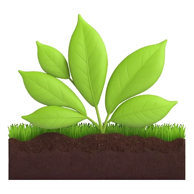 A fresh green leaf placed on soil or grass, clearly above the ground. sticker