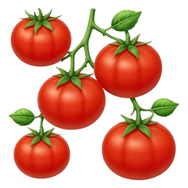 vine tomato sticker