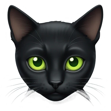 A black cat named Larry looking at you very seriously  sticker