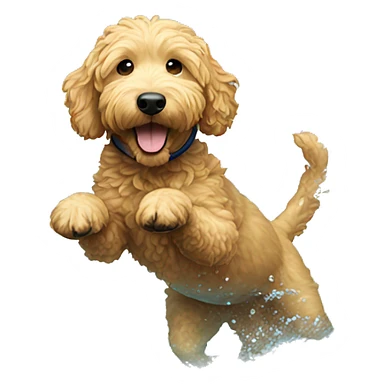 golden doodle swimming  sticker