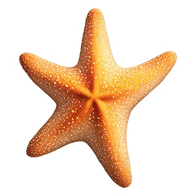 Starfish on the beach  sticker