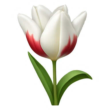 White tulipana sticker
