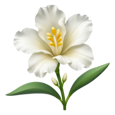 white freesia flower sticker