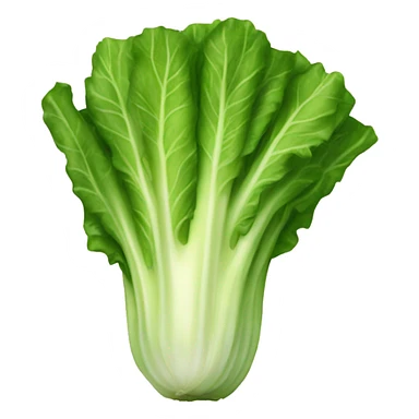 Romaine lettuce sticker