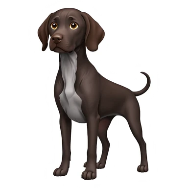 black German shorthair pointer dog sitting sticker