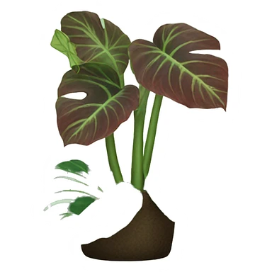 Alocasia Frydek  sticker