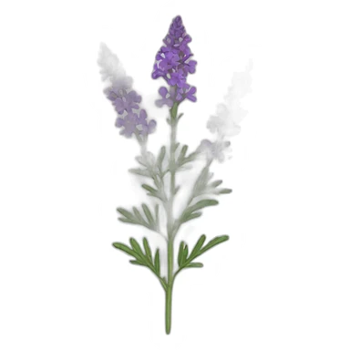 Vervain sticker