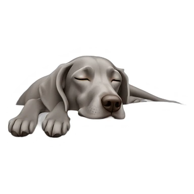 weimaraner sleeping sticker