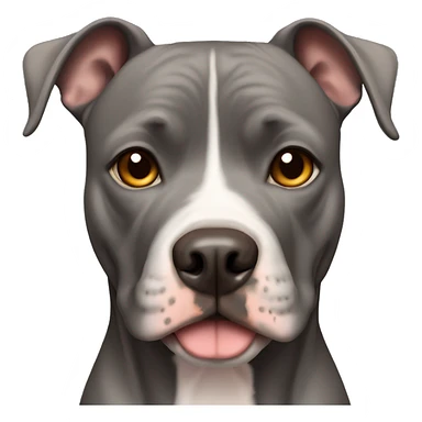 Black american pitbull terrier with light brown eyes sticker