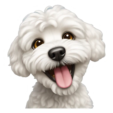 White Maltipoo dog that has a single tooth showing out of their mouth  sticker