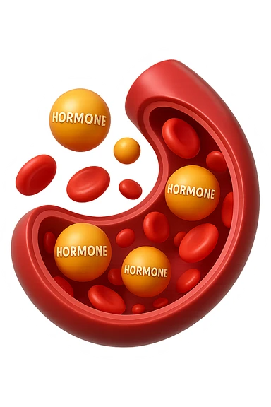 EMOJI STILE IPHONE 3D DI particelle di ormoni che circolano in una vena umana sticker