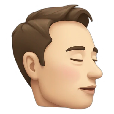 Elon musk sleep sticker