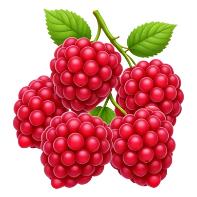 Raspberries sticker