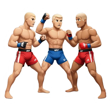 Ufc sticker