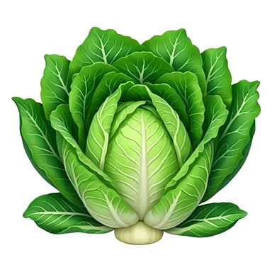 Chinese cabbage sticker