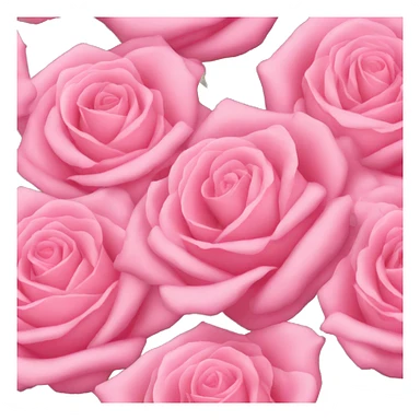 Pink roses  sticker