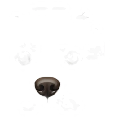 chow chow love in eyes sticker