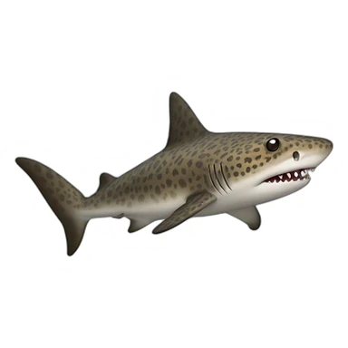 Leopard shark sticker