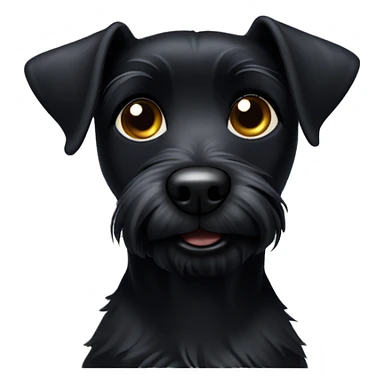 small scrappy black terrier with short downturned ears sticker